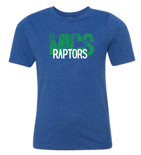 MICS Raptors