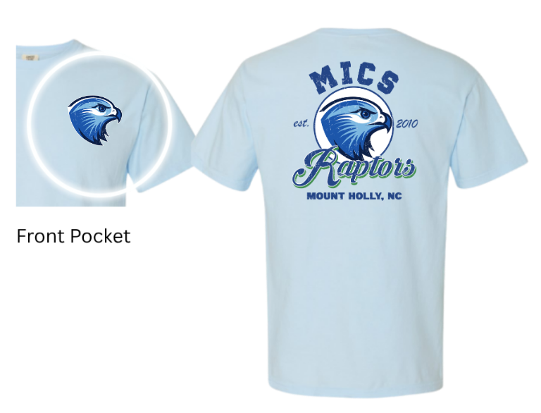 MICS 2010
