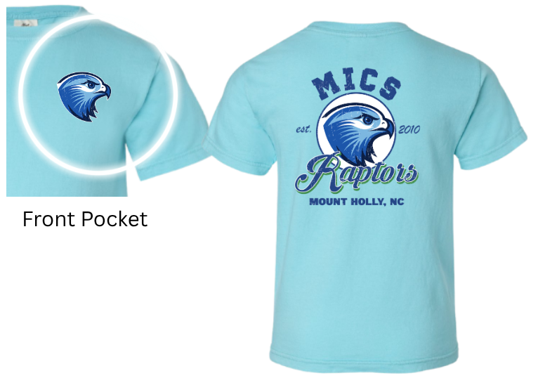 MICS 2010