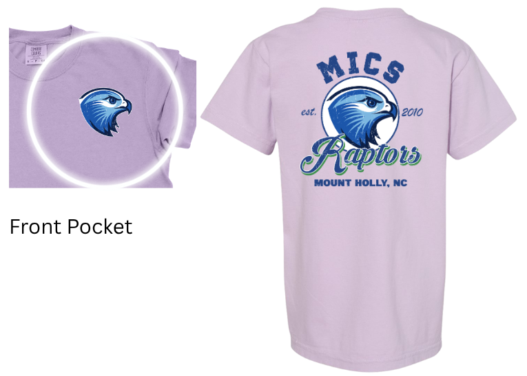 MICS 2010