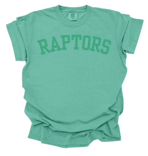 RAPTORS - block style