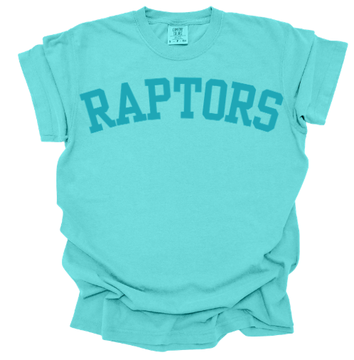 RAPTORS - block style