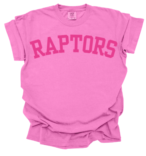 RAPTORS - block style