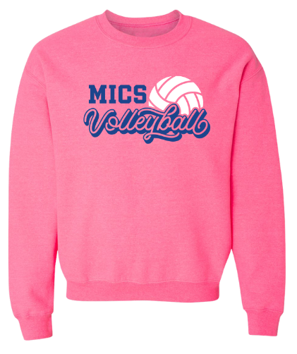 MICS volleyball