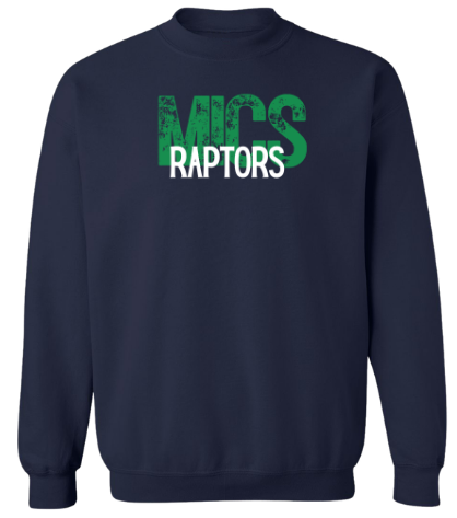 MICS Raptors