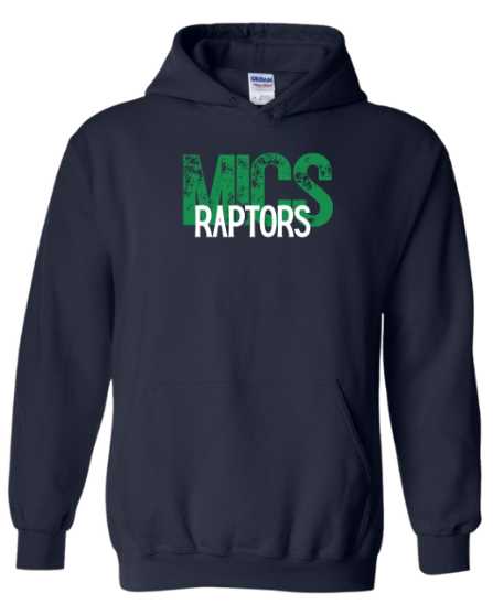 MICS Raptors