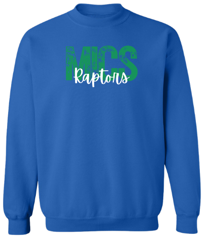 MICS Raptors