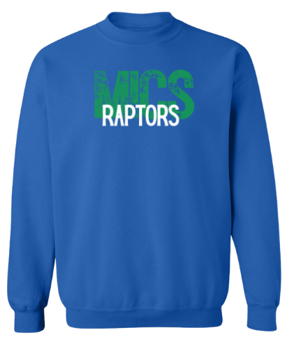MICS Raptors