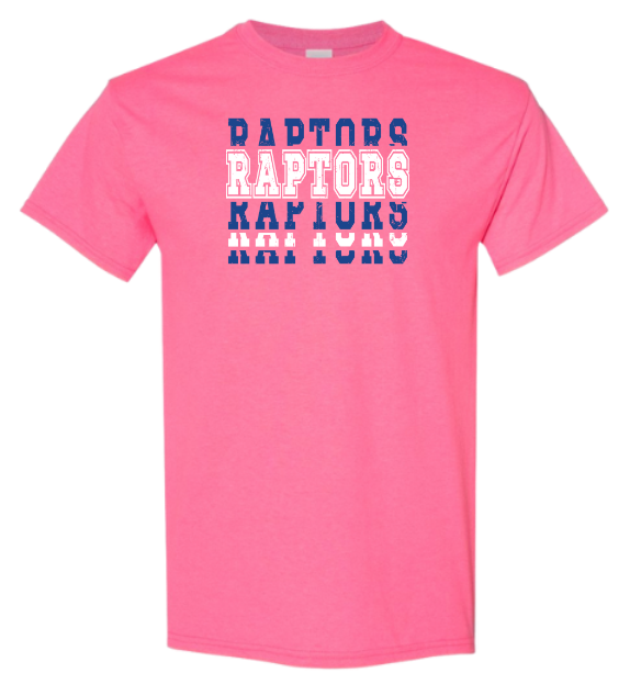 Raptors Stacked -blue/white