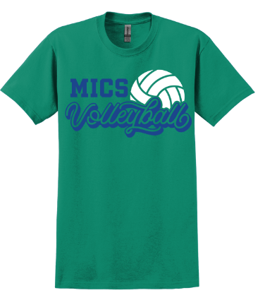 MICS volleyball