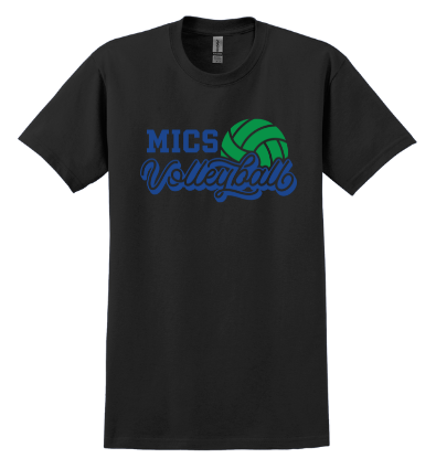 MICS Volleyball - green