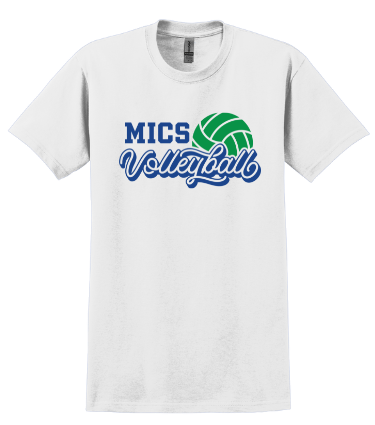 MICS Volleyball - green