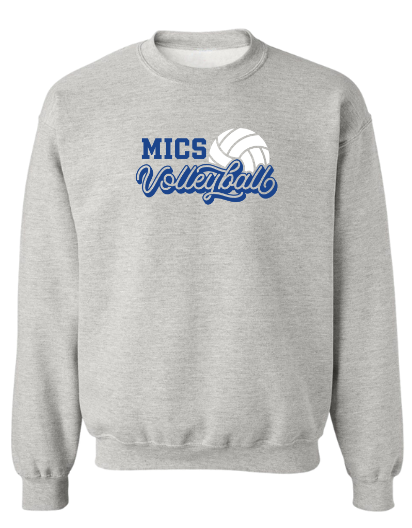 MICS volleyball