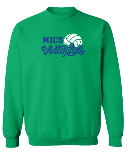 MICS volleyball