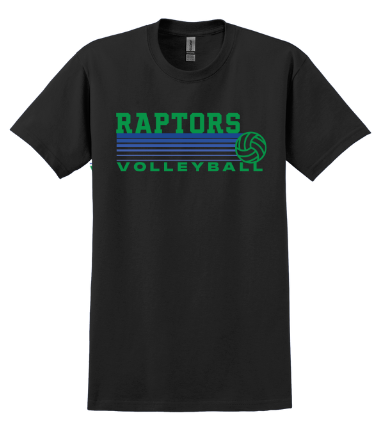 Retro Volleyball -green